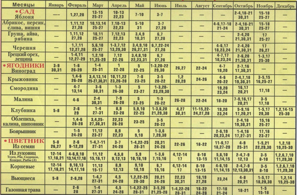 Дата уборки лука в 2018 году Дата уборки лука в 2018 году